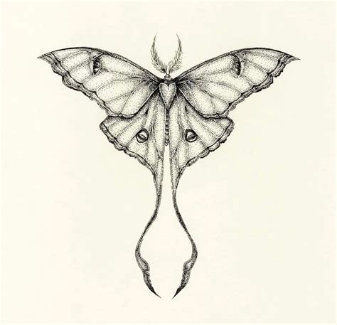 40 Enchanting Luna Moth Tattoo Designs To Ink